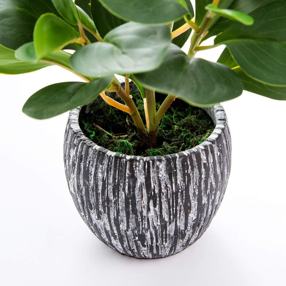 AlphaAcc Artificial Plants Fiddle Leaf Fig with Cement Planter