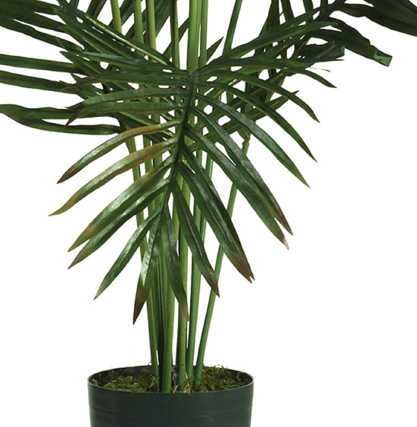 Nearly Natural 5FT Artificial Paradise Palm Tree with 12 Trunks