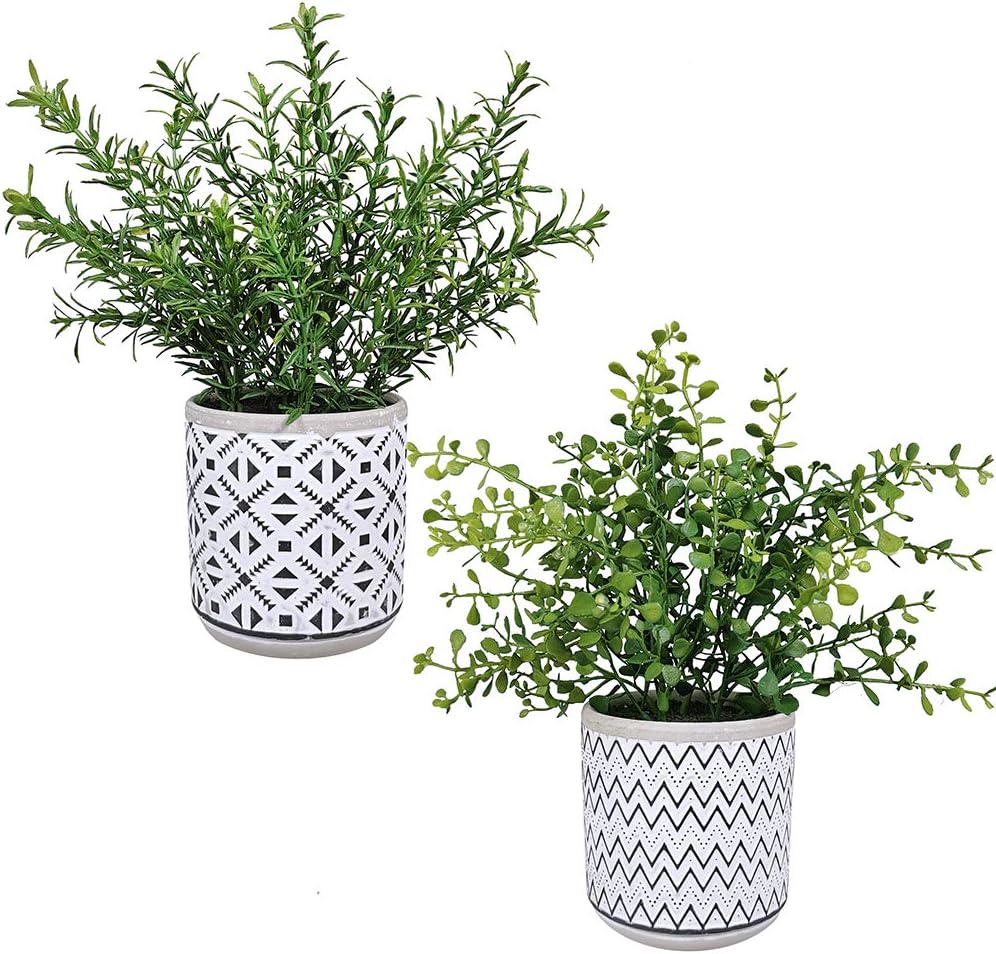 Winlyn 2 Pack Artificial Green Boxwood Rosemary Plants in Concrete Pots