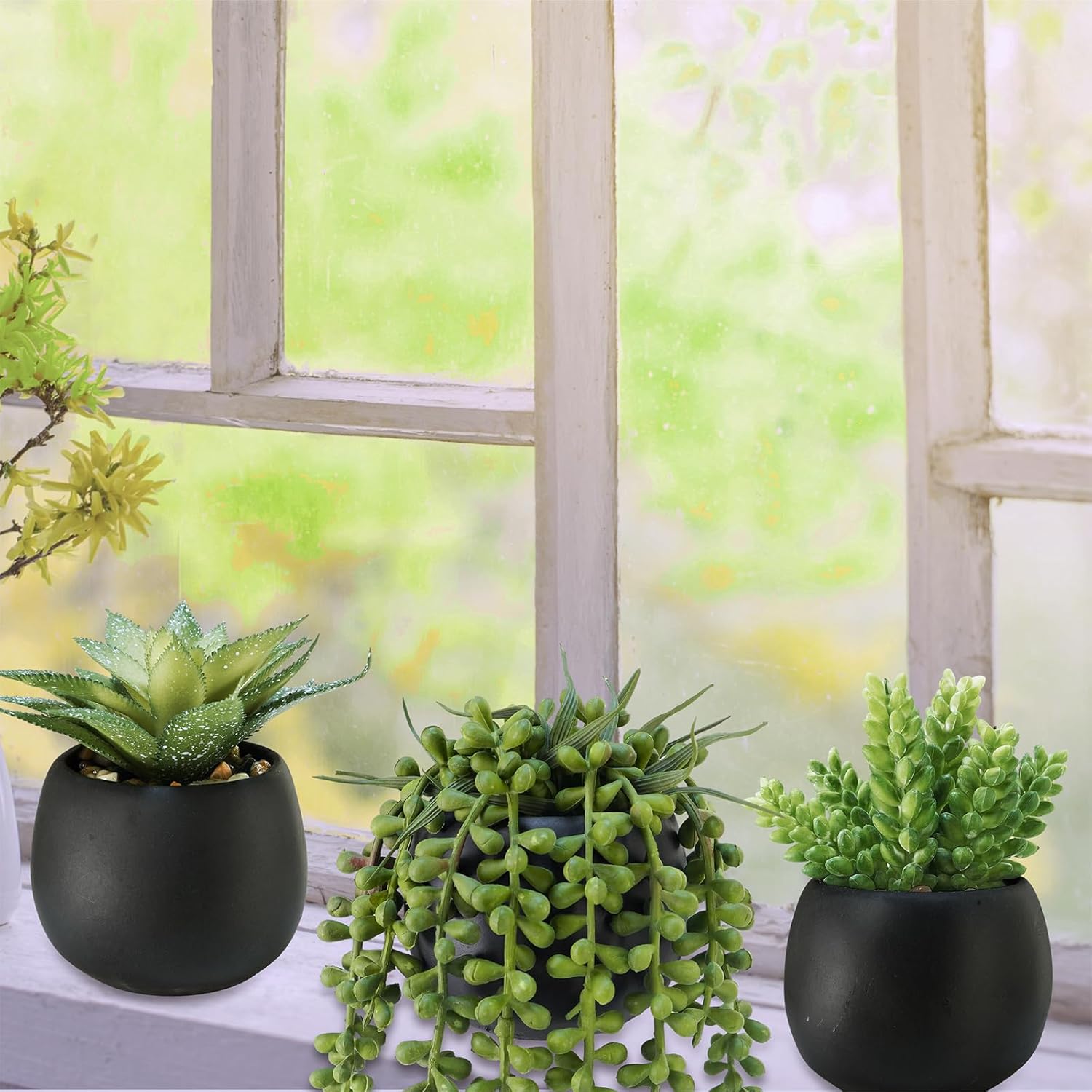 Winlyn Set of 3 Artificial Succulents in Black Planters