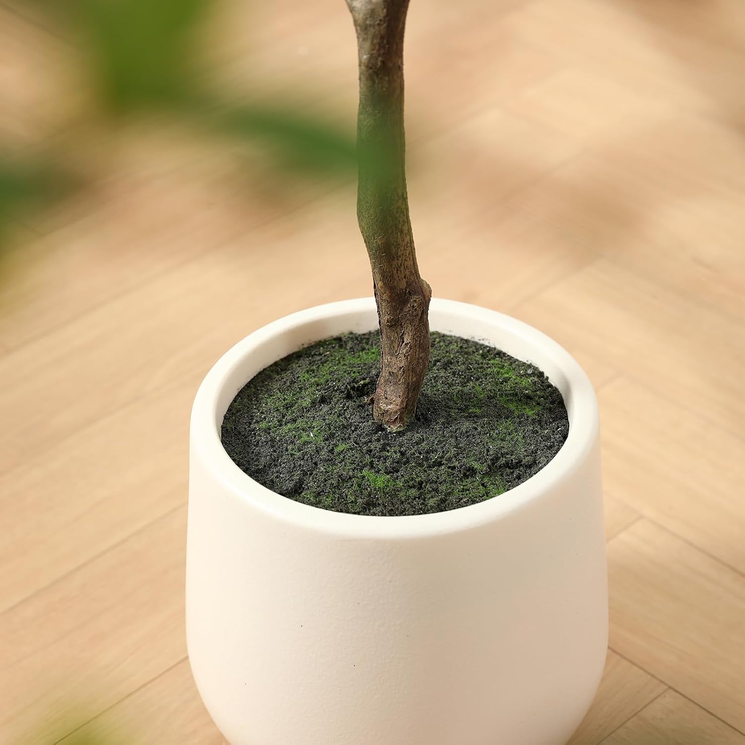 SOGUYI Artificial Black Olive Tree 5FT Decor