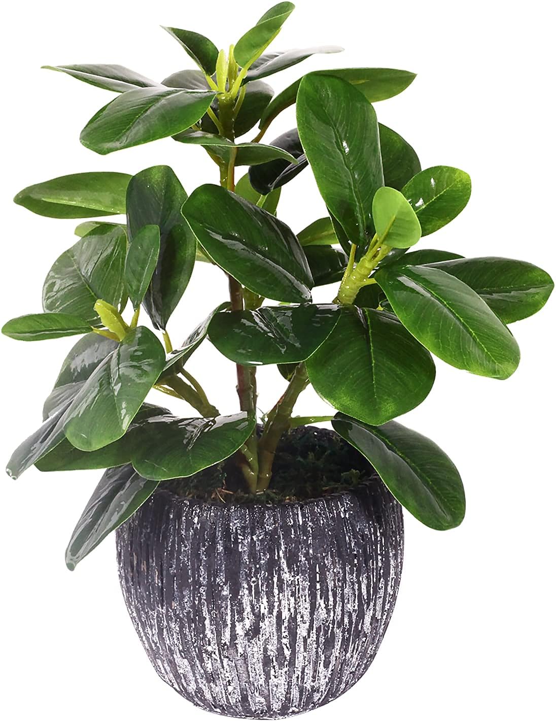 Real Touch Artificial Oak Leaves Potted Plant
