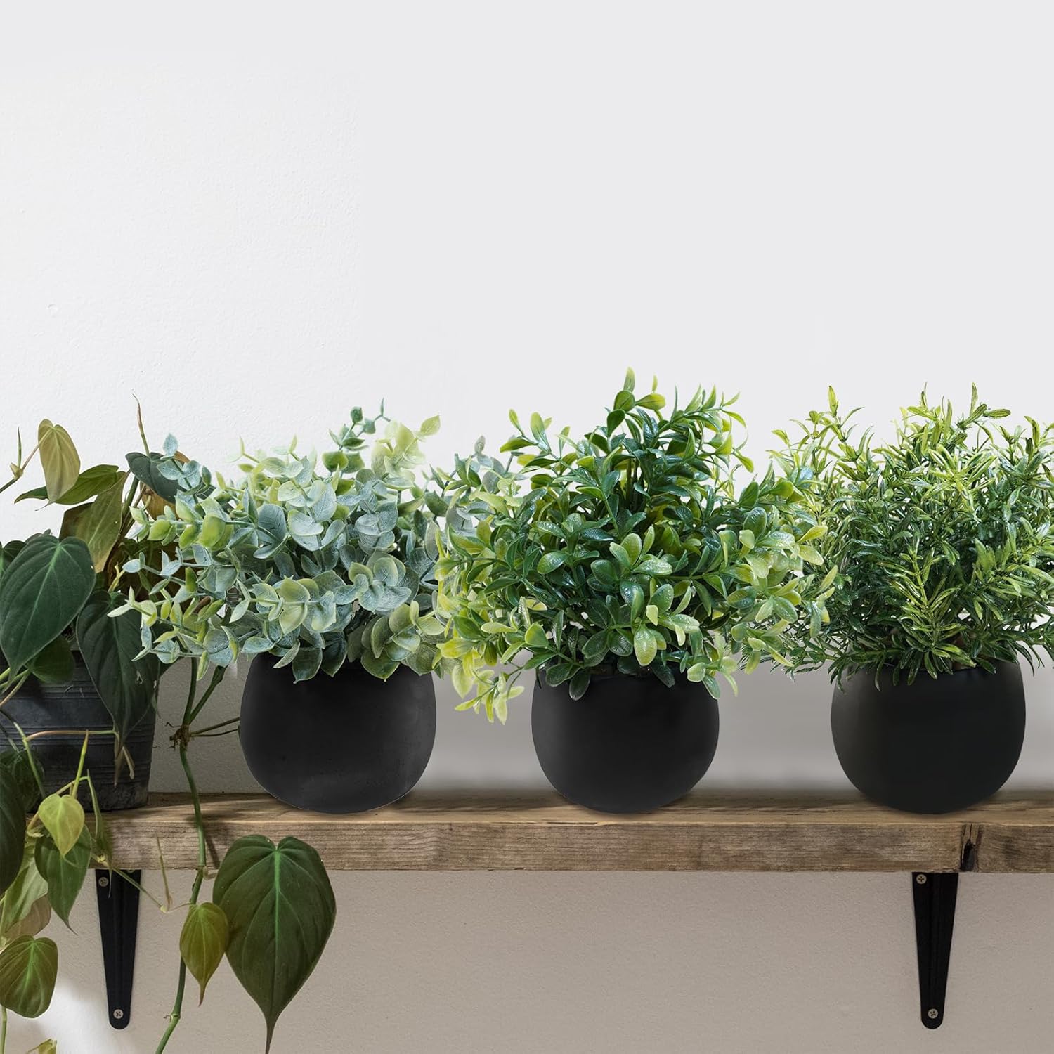Winlyn Set of 3 Small Artificial Plants in Black Concrete Pots