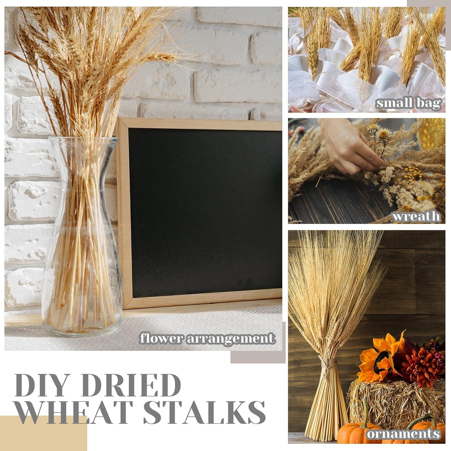 Geosar Dried Wheat Stalks for Decor 16 Inch Bundle