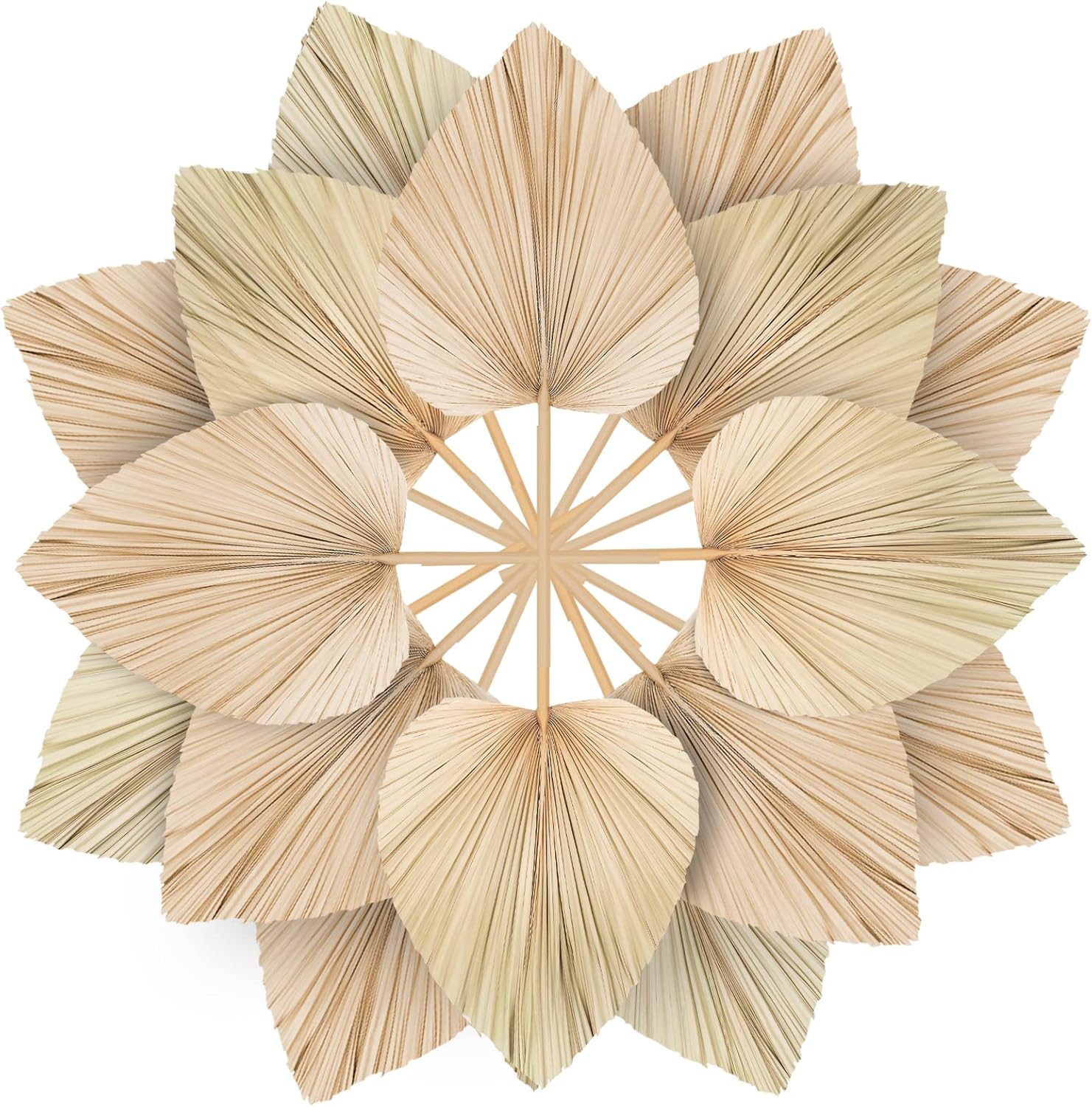 10pcs Large Dried Palm Leaves Boho DecorVase Wedding Backdrop