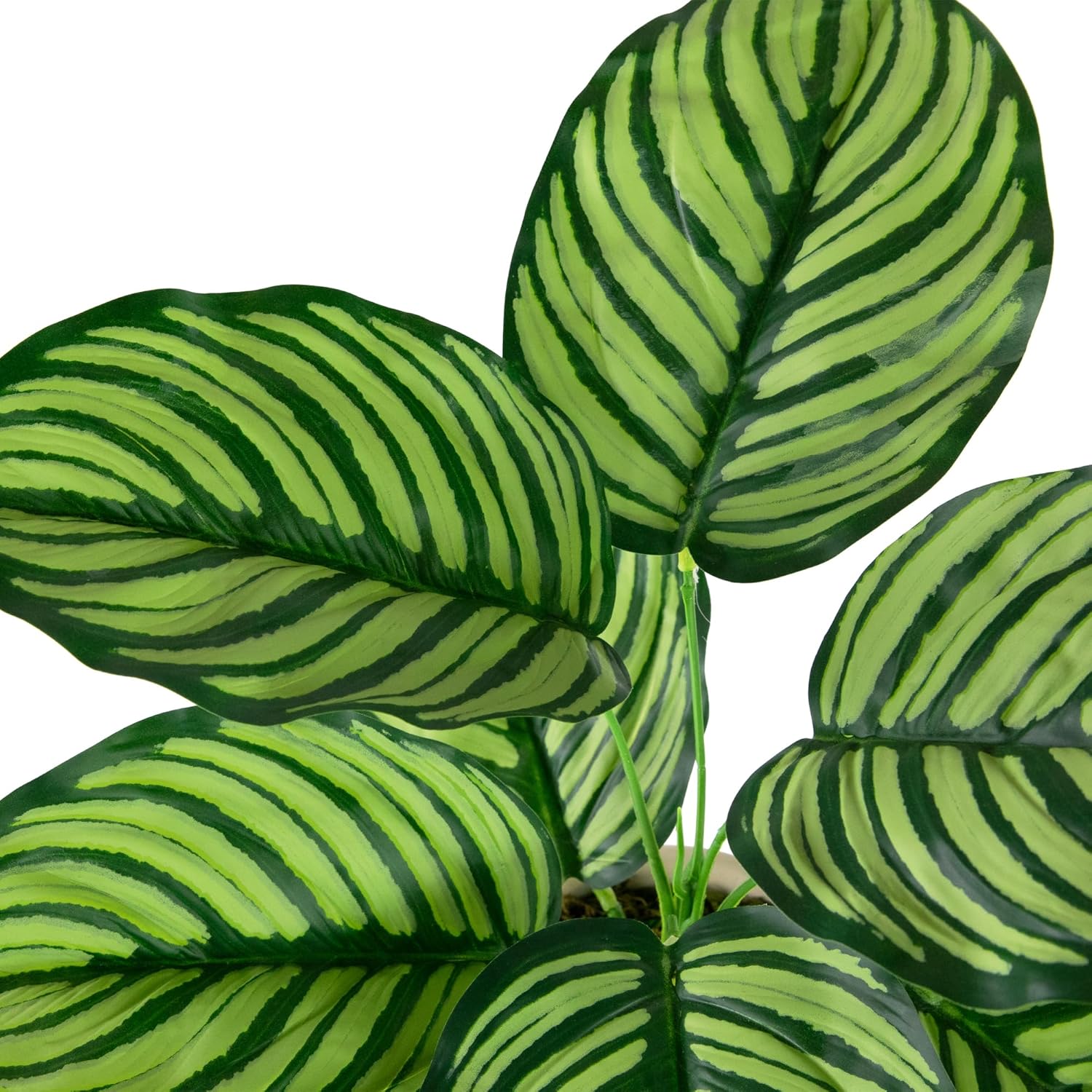 Northlight 13 Inch Artificial Prayer Plant in Beige Ceramic Pot