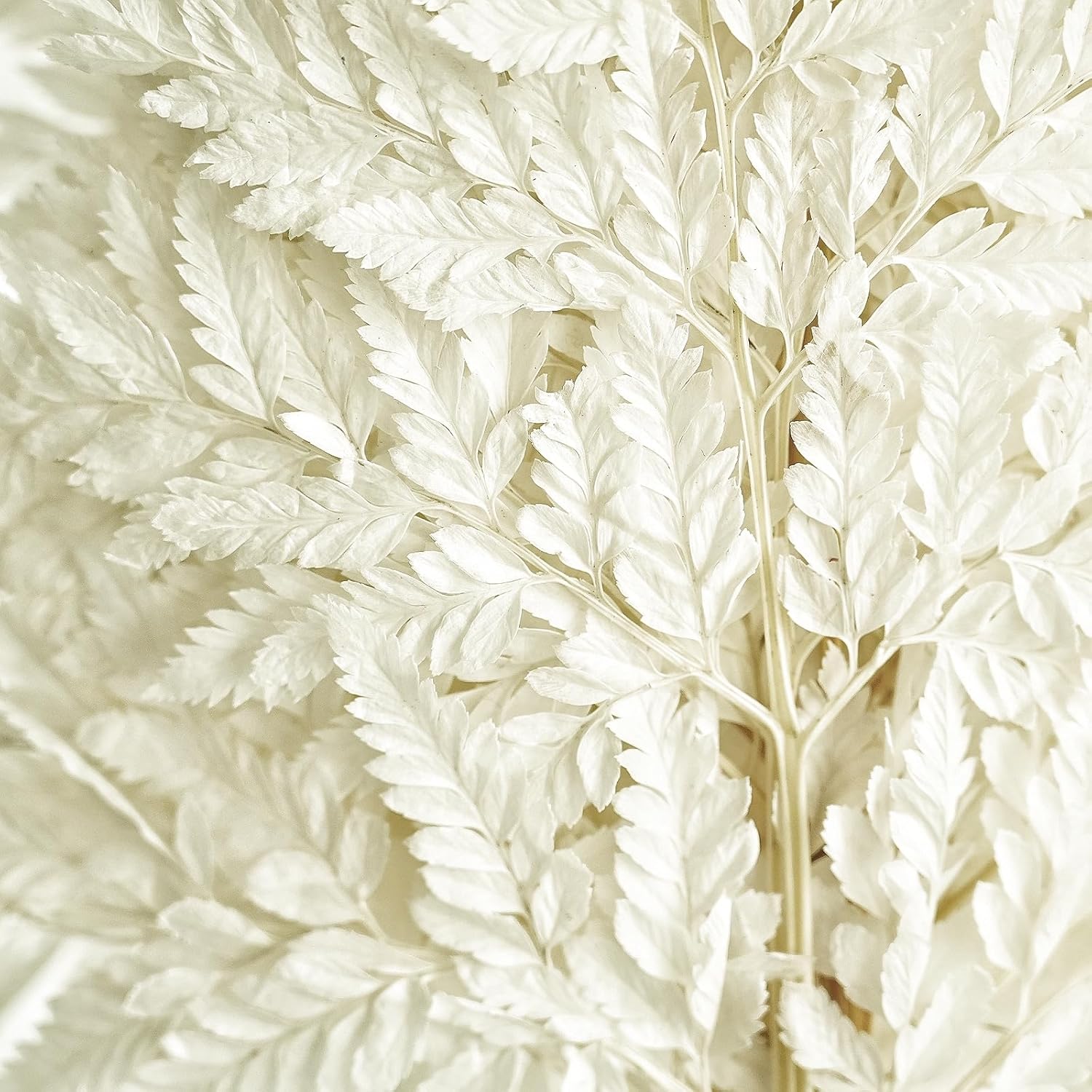 10PCS Exquisite Dried Leaves and Floral Decor Set