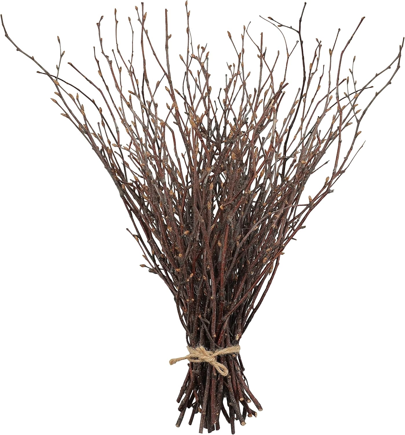 Uieke 50PCS Natural Birch Twigs Decor 17 Inch