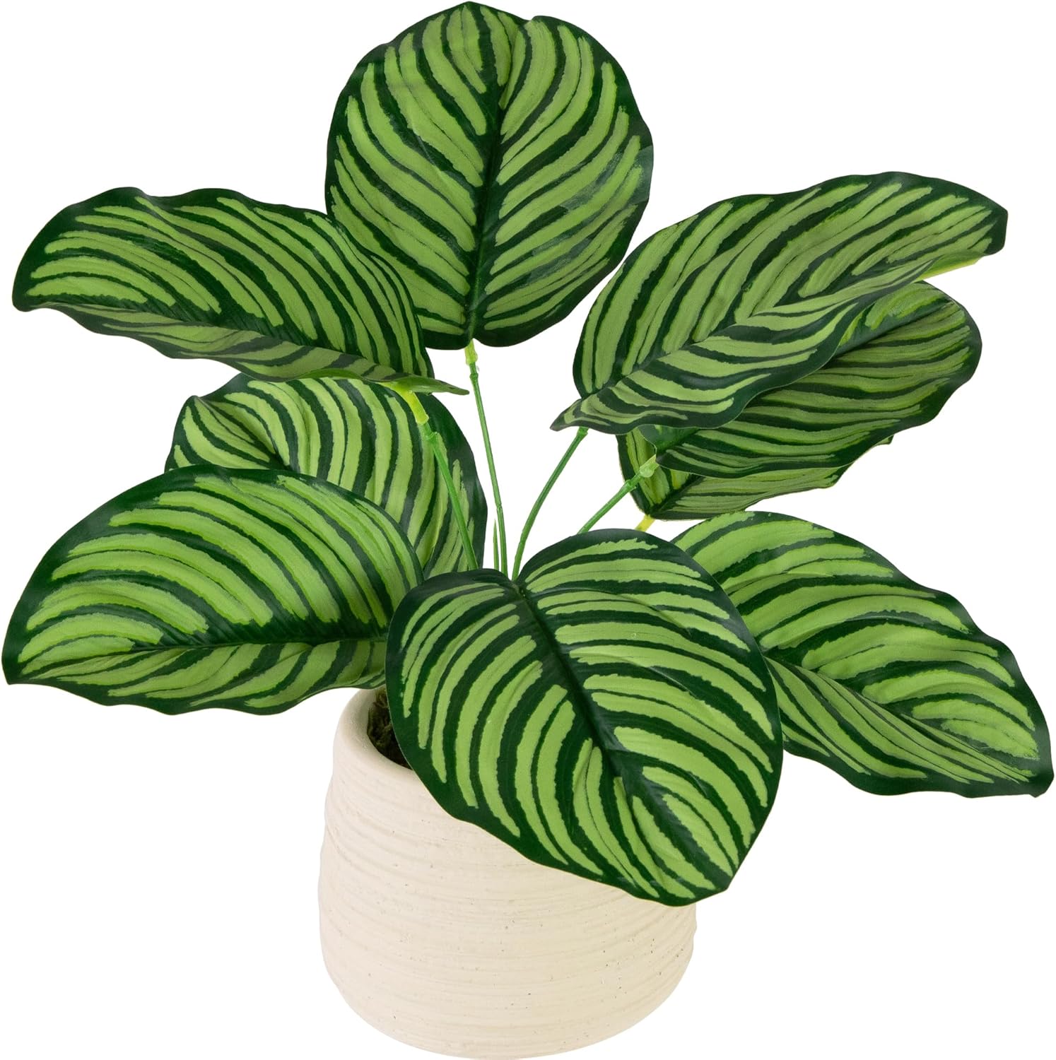 Northlight 13 Inch Artificial Prayer Plant in Beige Ceramic Pot