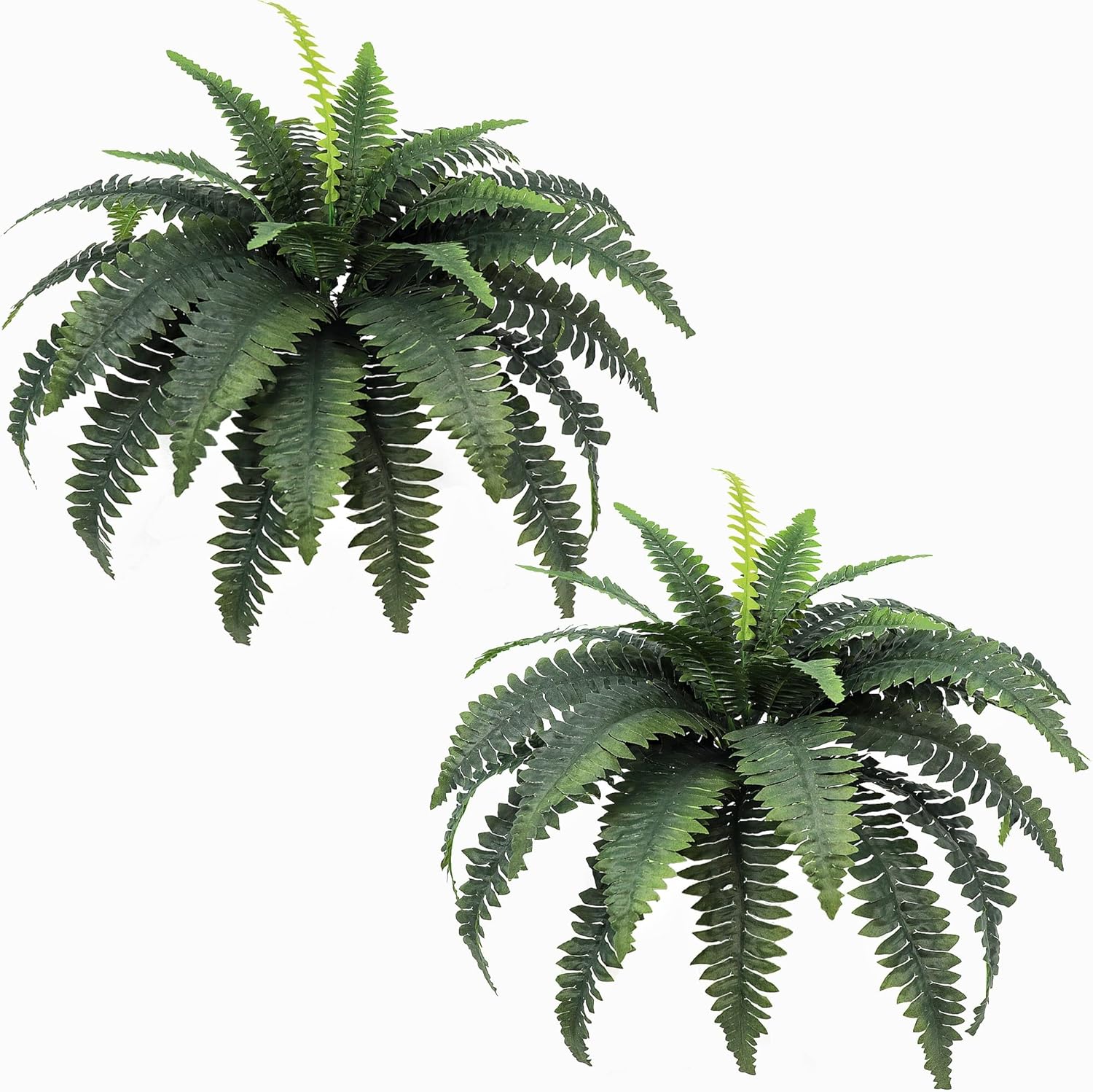 Artificial Ferns for Outdoors and Indoors 33 Spread