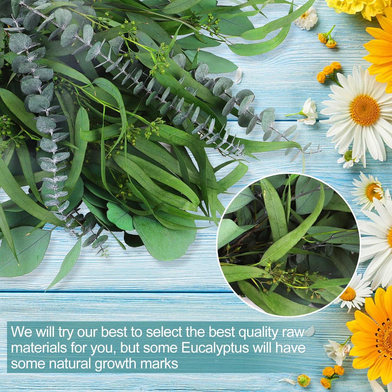 Glicrili 12Pcs Mixed Real Dried Eucalyptus Leaves Stems