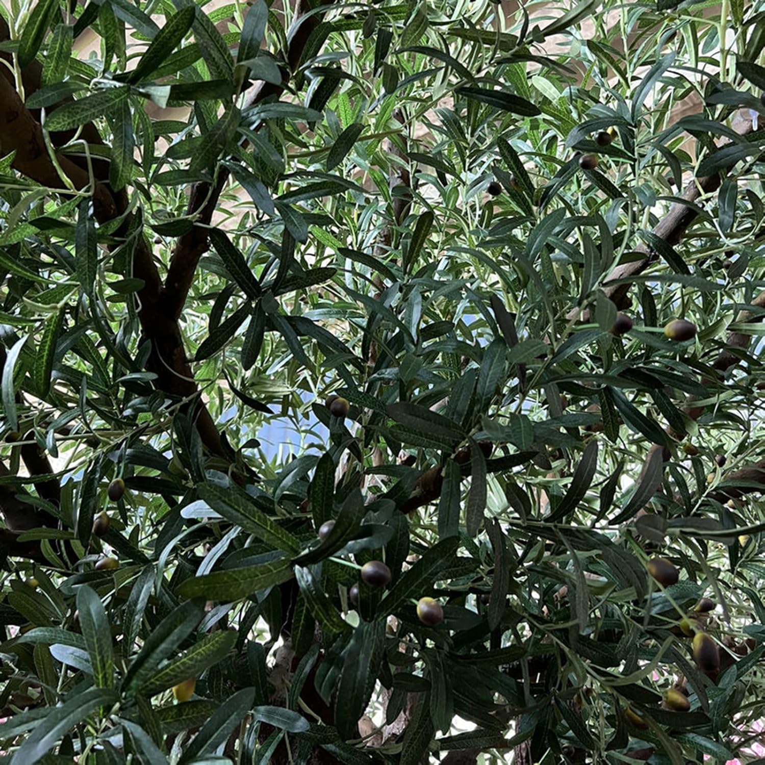 Tall Olive Tree Artificial Plant 350cm Realistic Texture