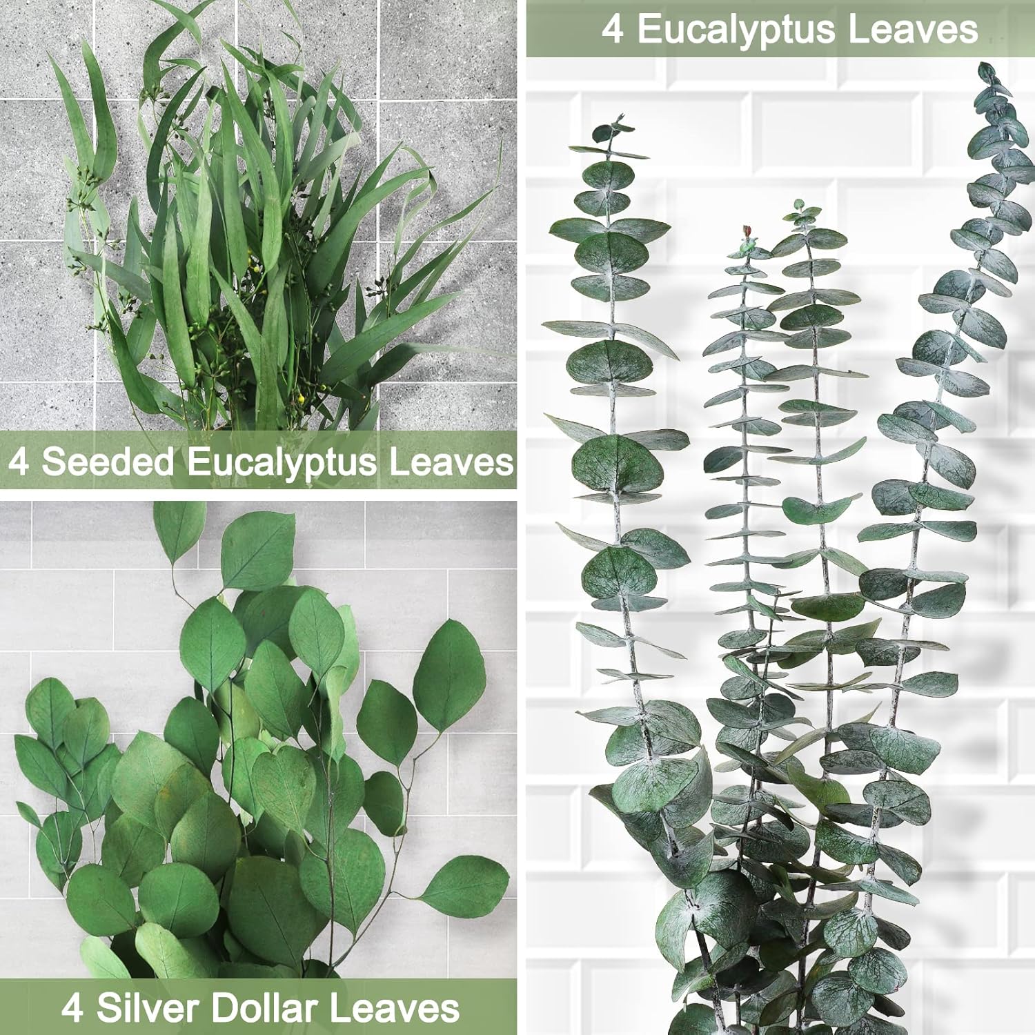 Glicrili 12Pcs Mixed Real Dried Eucalyptus Leaves Stems