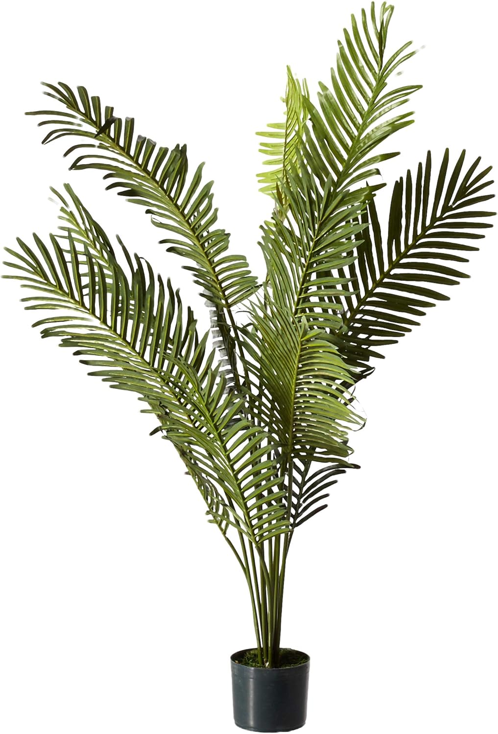 Nearly Natural 5FT Artificial Paradise Palm Tree with 12 Trunks