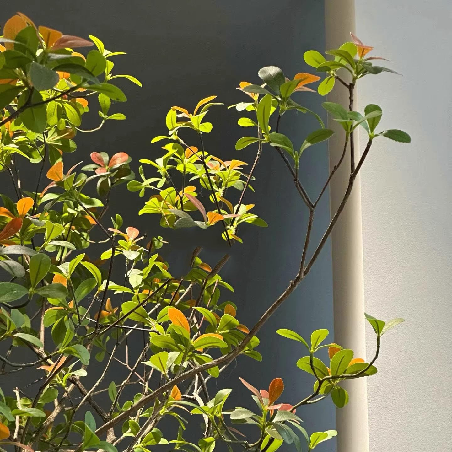 Artificial Island Spring Flower Tree 1mx08m